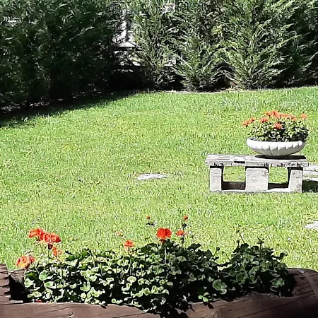 Soleil * 모르겍스